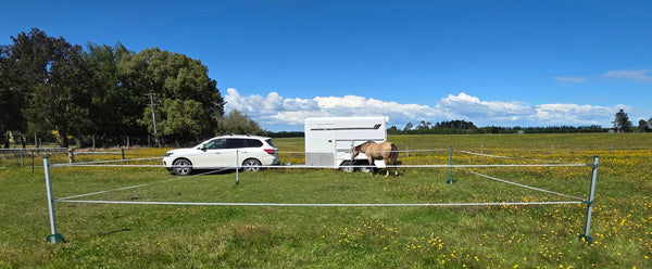 RoFlexs 145 Premium Set - Mobile Equine Yard- up to 56 square meter paddock