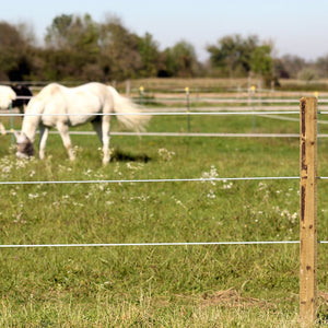 Topline Equine Wire Fencing