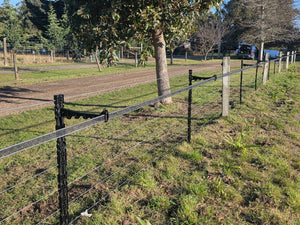 How Temporary Electric Fencing Can Help Make Spring Pasture Go Further