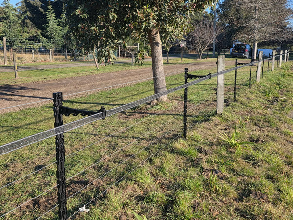 How Temporary Electric Fencing Can Help Make Spring Pasture Go Further