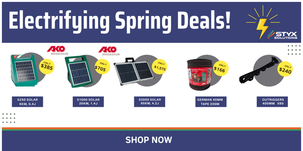 Electrifying Spring Deals!