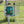 Anti-theft-electrified metal box for AKO energisers and battery