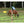 AKO S500 Solar Electric Fence Energiser 