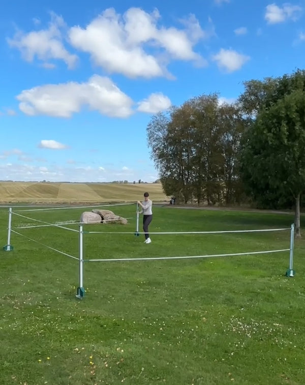 RoFlexs Premium E 145 fully electric fence set-with built in energiser post and battery