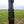 Styx 5–7 Wire Fence Batten – Suits 2.50m wire-not suitable for steel Y posts