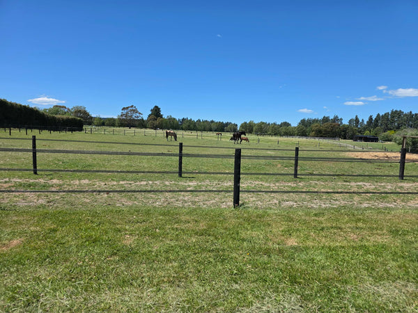 Styx SPHT40 Power Horse Tape - 40mm Kiwi Black, 200m