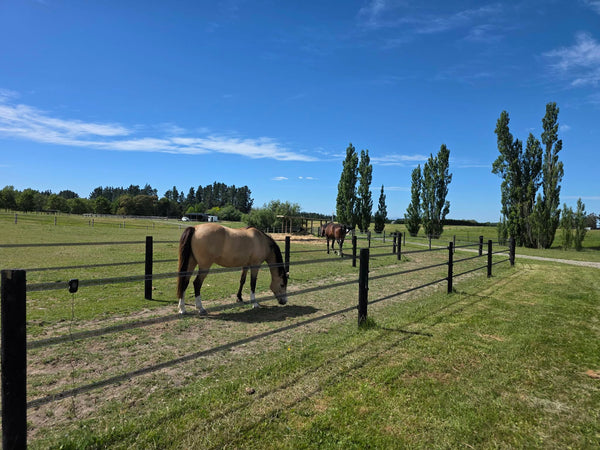 Styx SPHT40 Power Horse Tape - 40mm Kiwi Black, 200m