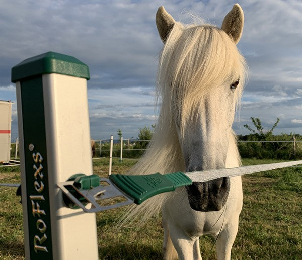 RoFlexs Premium Set - Mobile Equine Yard