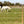 Topline Equine Wire Fencing