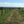 WoodShield Posts - 83mm - Standard Round Post - Pre order
