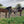 WoodShield Posts - 95-100mm - Medium Round Post - Pre order